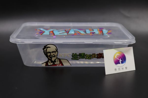 Disposable lunch box