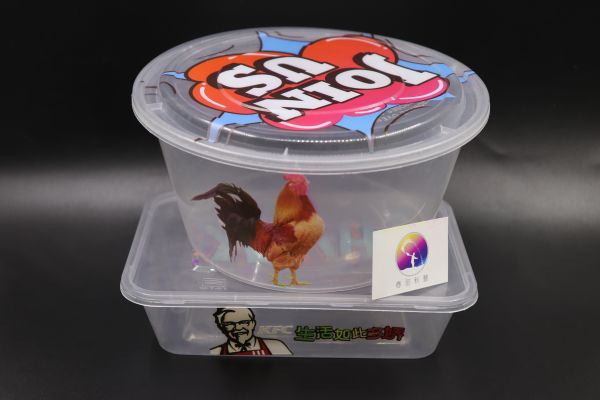 Disposable lunch box