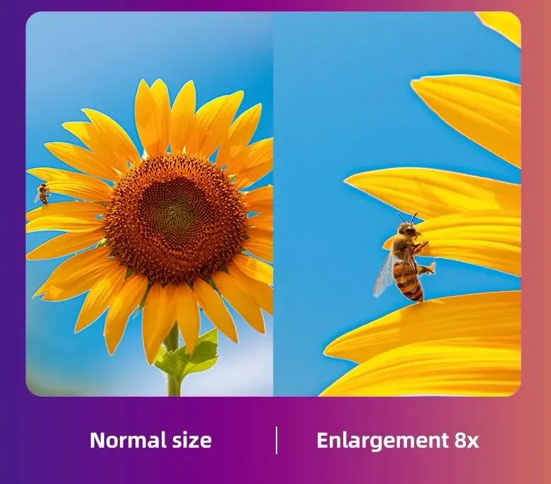 uv-printer-color-accuracy-comparison